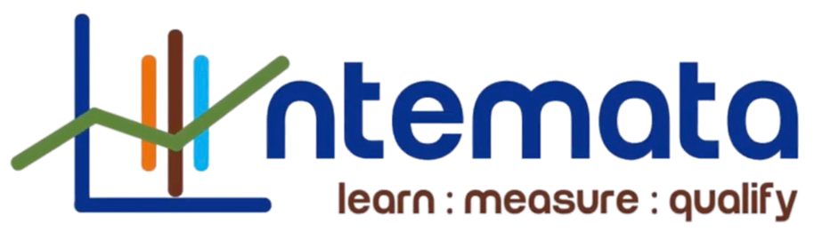 Intemata logo